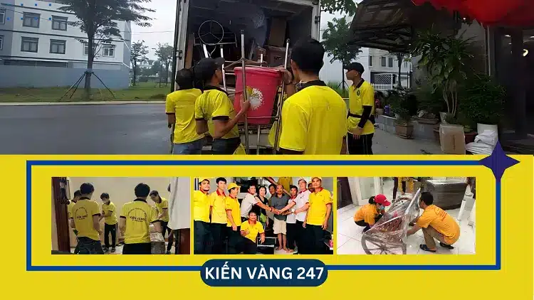 Kiến Vàng 247 mang tới dịch vụ bốc xếp chuyên nghiệp với chi phí tốt nhất