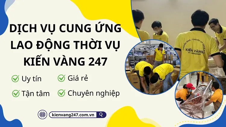 Kiến Vàng 247 chuyên cung cấp dịch vụ cung ứng lao động thời vụ uy tín, giá rẻ 