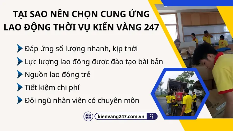 Dịch vụ cung ứng lao động thời vụ tại Kiến Vàng đảm bảo an toàn, ưu tiên sự hài lòng khách hàng