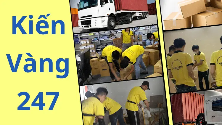 Kiến Vàng 247 chuyên cung cấp dịch vụ bốc xếp hàng hóa container tại TPHCM