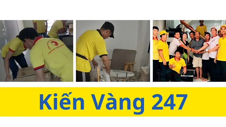 Kiến Vàng 247 có cung cấp dịch vụ bốc xếp hàng hóa bằng thủ công 