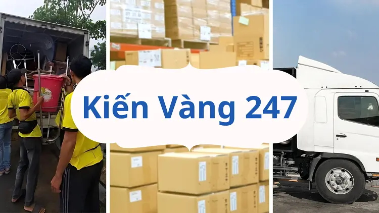 Kiến Vàng 247 cung cấp các dịch vụ bốc xếp hàng hóa bằng xe nâng phù hợp với nhu cầu khách hàng