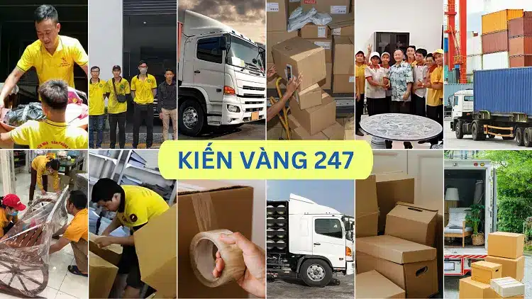 Kiến Vàng 247 - Công ty cung ứng nguồn lao động thời vụ uy tín, chất lượng tại TPHCM