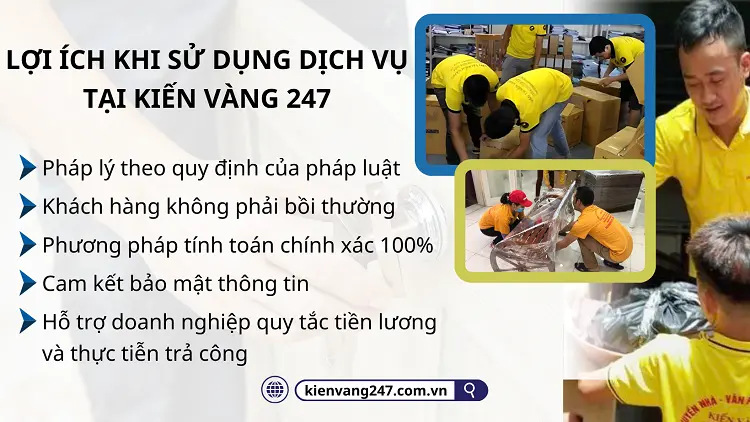 "Kiến