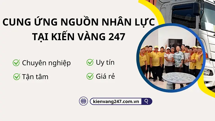 Kiến Vàng 247 chuyên cung cấp nguồn nhân lực uy tín tại TPHCM