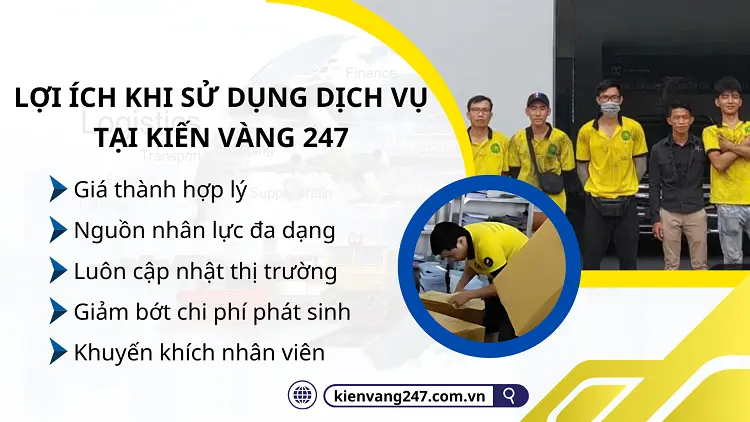 Kiến Vàng 247 đáp ứng kịp thời nguồn lực lao động cho doanh nghiệp Việt Nam với giá thành hợp lý