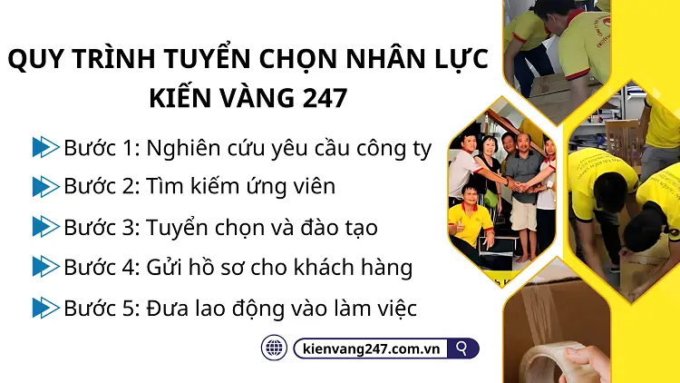 Quy trình tuyển chọn nhân lực tại Kiến Vàng 247 đảm bảo kỹ lưỡng chất lượng đúng với yêu cầu khách hàng