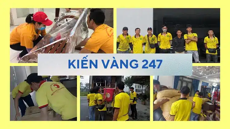 Kiến Vàng 247 luôn sẵn sàng đáp ứng nguồn nhân lực cho khách hàng kịp thời