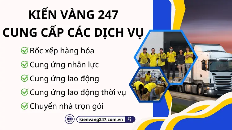 Các dịch vụ được cung cấp tại Kiến Vàng 247 đảm bảo uy tín, chuyên môn, minh bạch trong hợp đồng