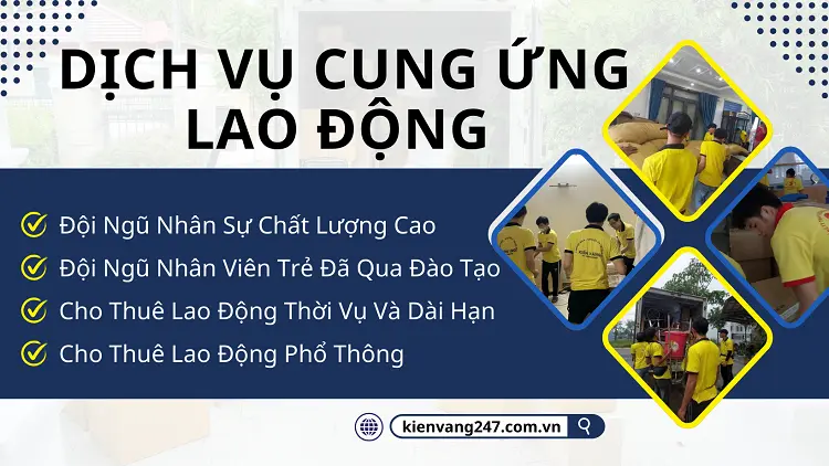 Dịch vụ cung ứng lao động của Kiến Vàng 247 đảm bảo nhân sự chất lượng, lao động thời vụ dài hạn