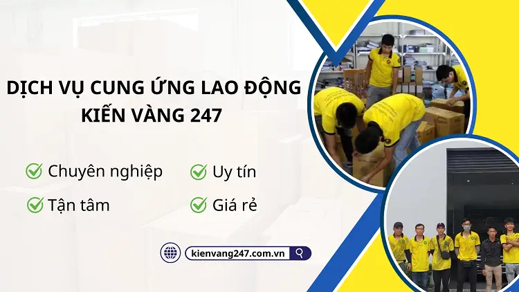 Kiến Vàng 247 cung cấp dịch vụ cung ứng nguồn lao động phổ thông dài hạn đảm bảo chất lượng