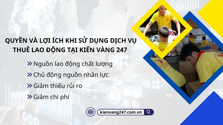 Kiến Vàng 247 đảm bảo quyền lợi của khách hàng cam kết bồi thường khi có rủi ro, hợp đồng rõ ràng