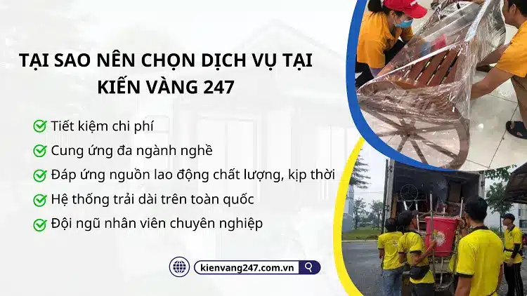 Kiến Vàng 247 luôn có nguồn lao động lớn, chuyên môn đa ngành nghề, giảm bớt chi phí phát sinh