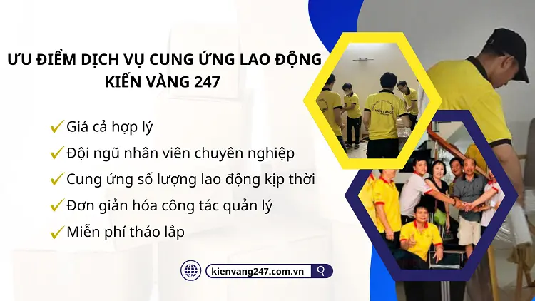 Đội ngũ nguồn nhân sự của Kiến Vàng 247 luôn được đào tạo bài bản có chuyên môn phù hợp với nhu cầu khách hàng