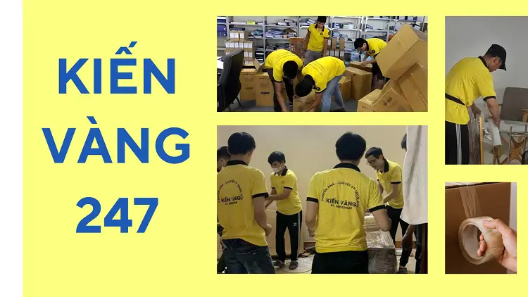 Kiến Vàng 247 là công ty chuyên cung cấp dịch vụ cung ứng nguồn nhân lực chuyên nghiệp tại TPHCM