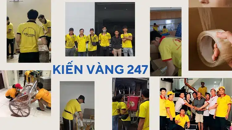 Kiến Vàng 247 luôn cung ứng nguồn nhân lực có chuyên môn cao tại TPHCM