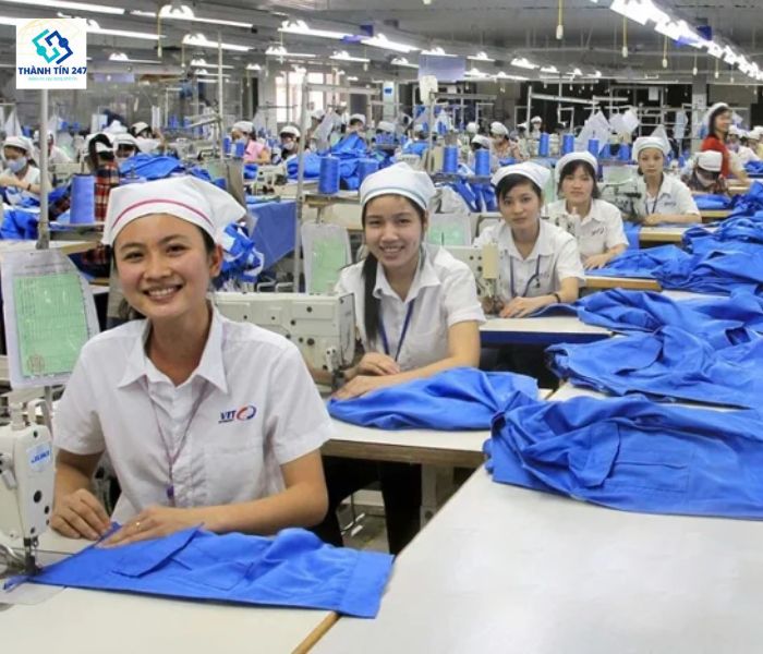 Kiến Vàng 247 luôn có nguồn cung ứng lao động phổ thông kịp thời theo nhu cầu của khách hàng