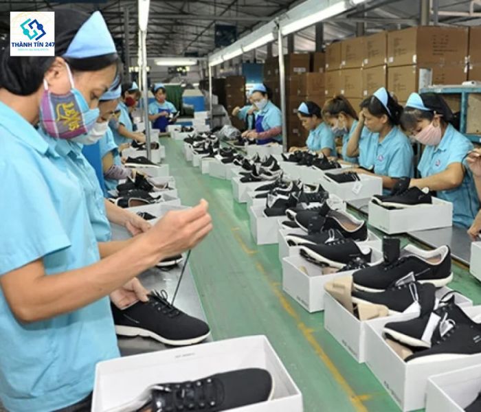 Kiến Vàng 247 - Công ty cung ứng nguồn lao động thời vụ uy tín, chất lượng tại TPHCM